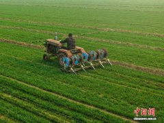 山东春耕春管尽显“科技范” 新型农机成农业生产“主角”