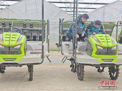 全球首个再生稻无人智慧农场：鼠标一点，农机下田